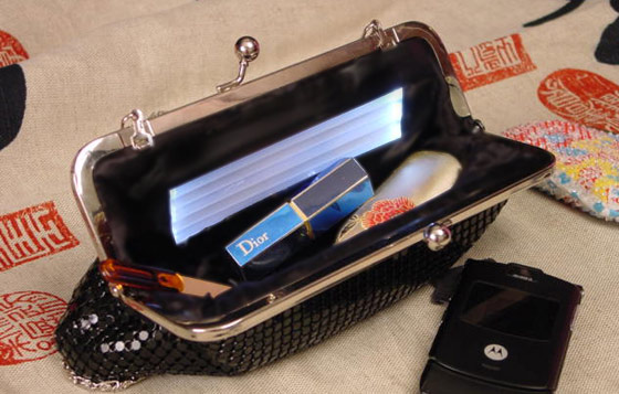shinyPursePanel01-web.jpg